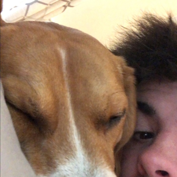 Meet your Posher, Jameson - Picture 1 of 1